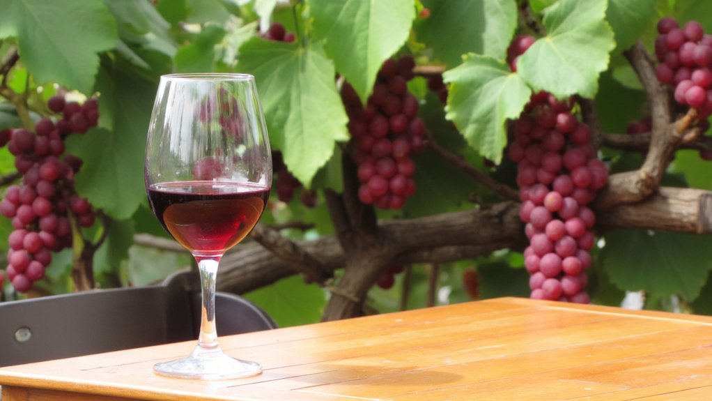 grenache wine serving tips